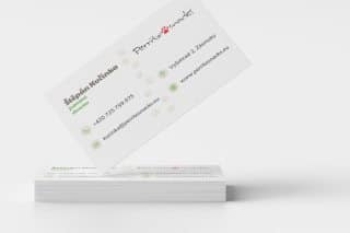 Business Card Mockup 10 by Minimal Mockups