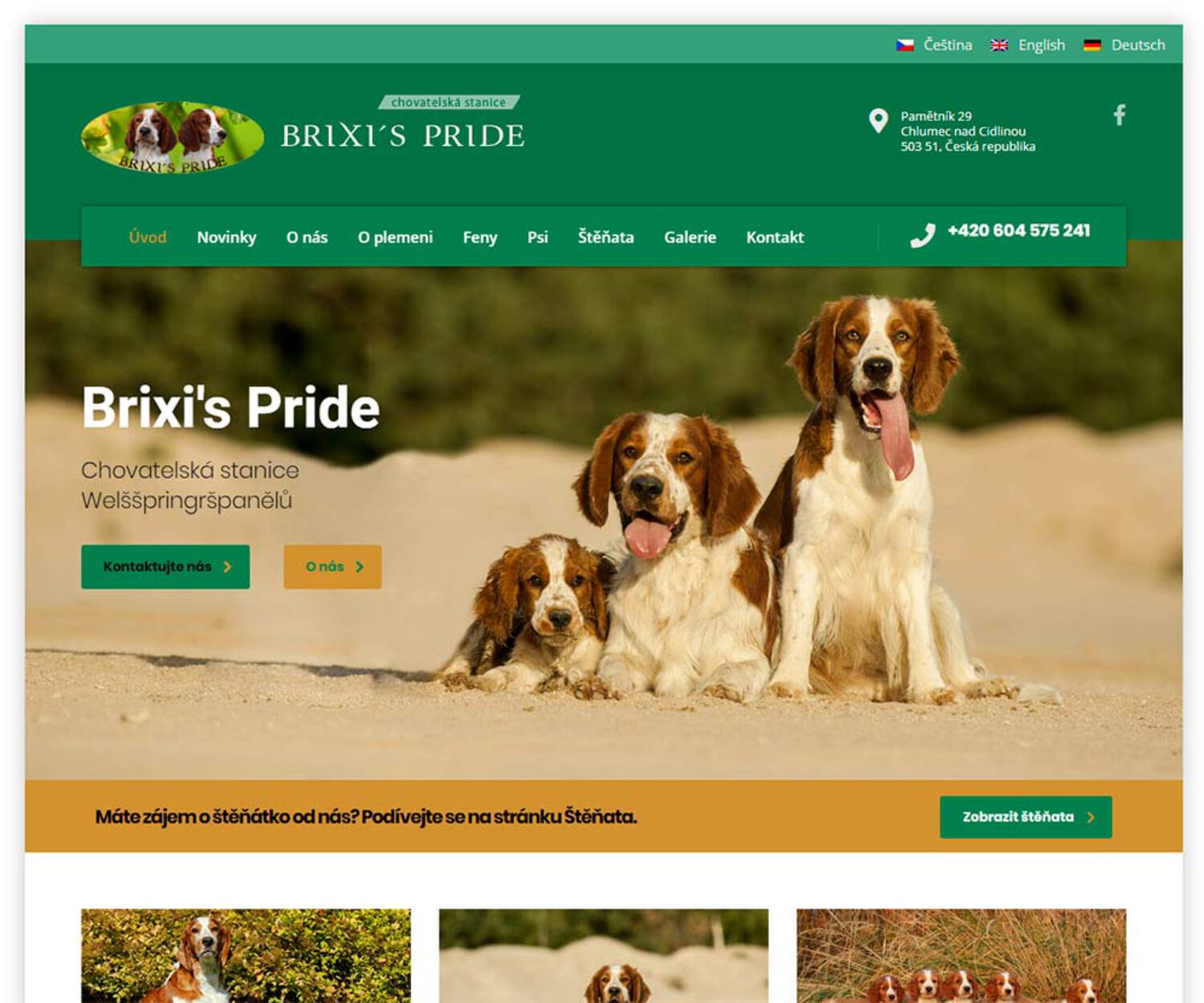 Brixis Pride - Tvorba stránek Čáslav